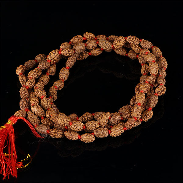 2 Mukhi Rudraksha Mala