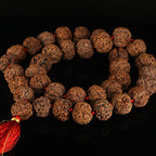 5 Mukhi Rudraksha Kantha-Nepali