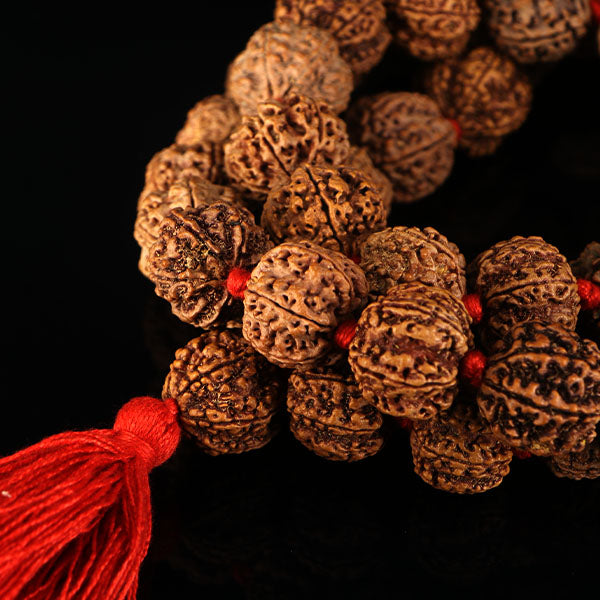 6 Mukhi Rudraksha Kantha-Nepali