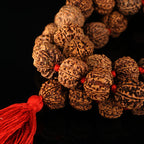 7 Mukhi Rudraksha Kantha-Nepali