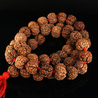 6 Mukhi Rudraksha Kantha-Nepali