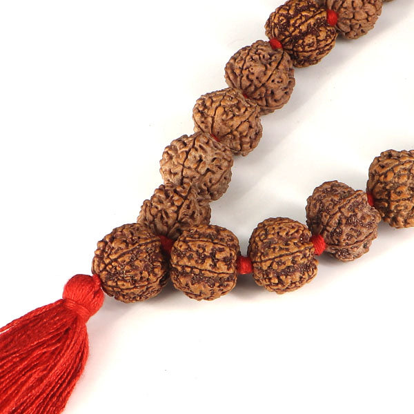 6 Mukhi Rudraksha Kantha-Nepali