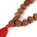 6 Mukhi Rudraksha Kantha-Nepali