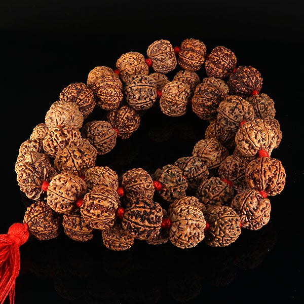 7 Mukhi Rudraksha Kantha-Nepali