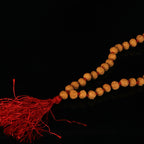 6 Mukhi Rudraksha Mala