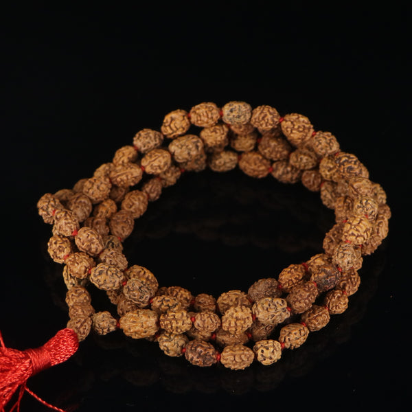 3 Mukhi Rudraksha Mala