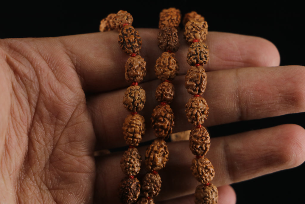 3 Mukhi Rudraksha Mala