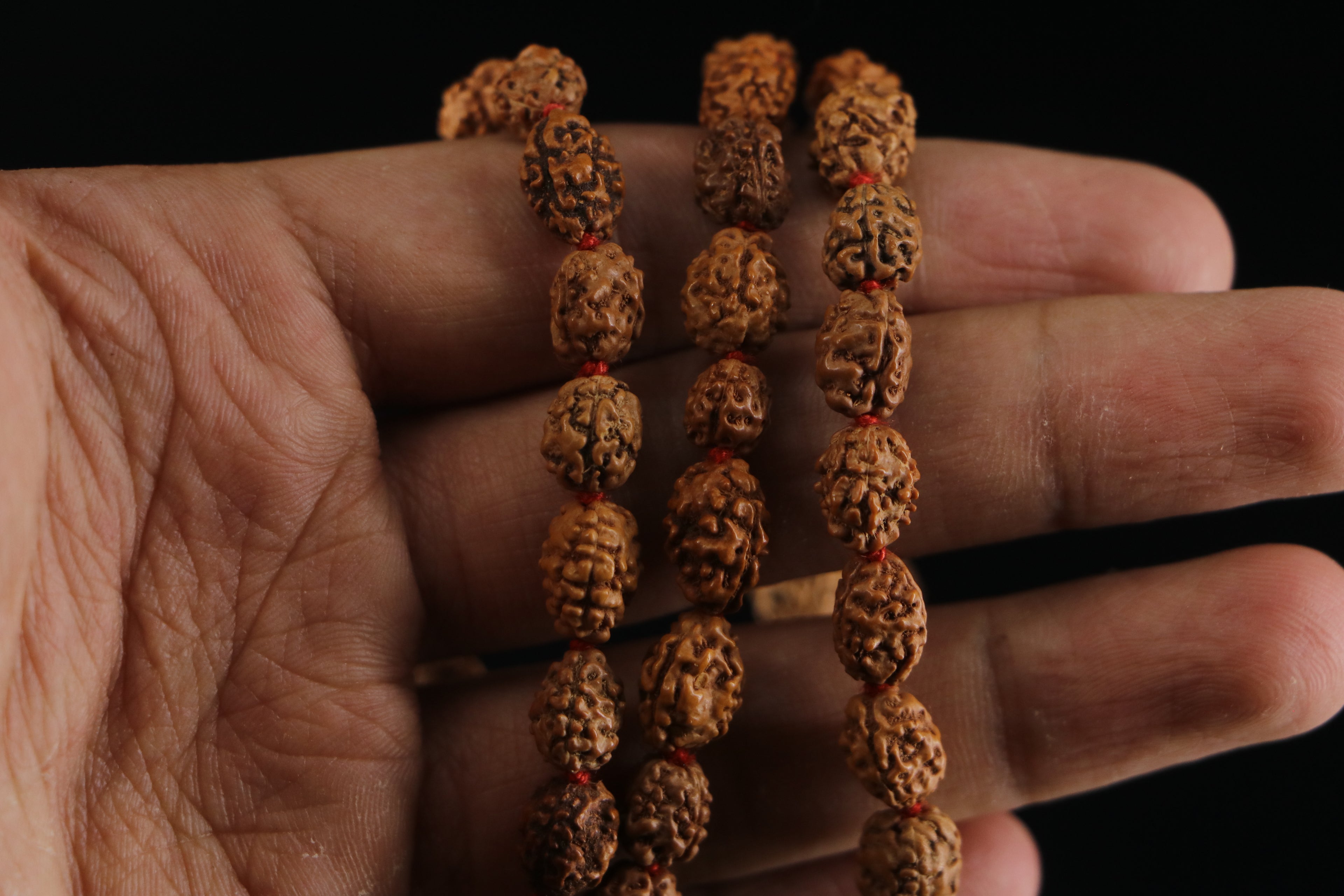 3 Mukhi Rudraksha Mala