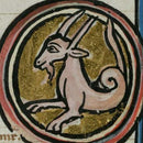 Capricorn