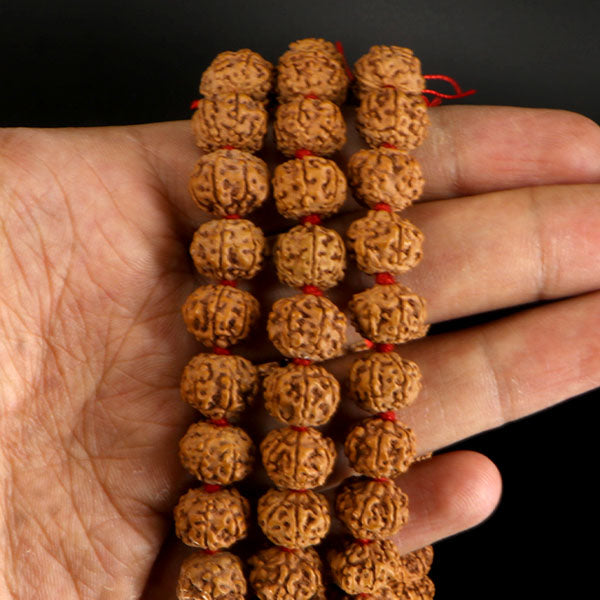 8 Mukhi Rudraksha Mala