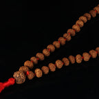 8 Mukhi Rudraksha Mala with 5 mukhi bead