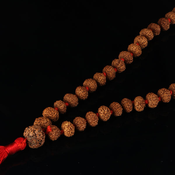8 Mukhi Rudraksha Mala with 5 mukhi bead