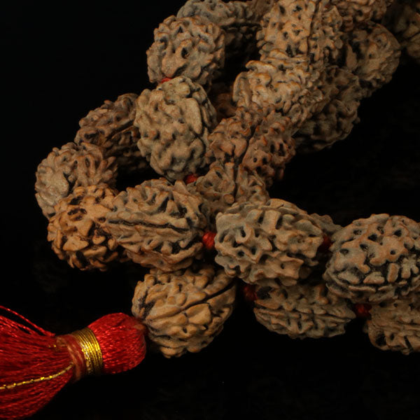 3 Mukhi Rudraksha Kantha-Nepali