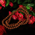 5 Mukhi Rudraksha Mala