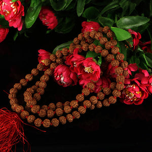 5 Mukhi Rudraksha Mala