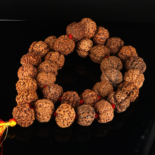 5 Mukhi Rudraksha Kantha-Nepali
