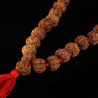 6 Mukhi Rudraksha Kantha-Nepali