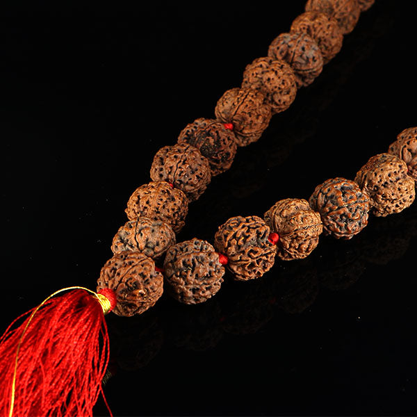 5 Mukhi Rudraksha Kantha-Nepali