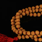 6 Mukhi Rudraksha Mala