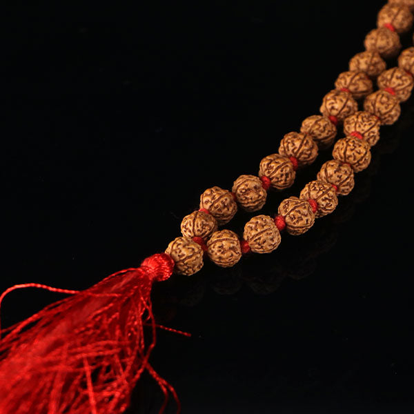 5 Mukhi Rudraksha Mala