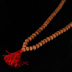 7 Mukhi Rudraksha Mala