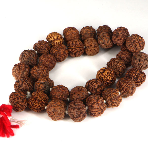 5 Mukhi Rudraksha Kantha-Nepali