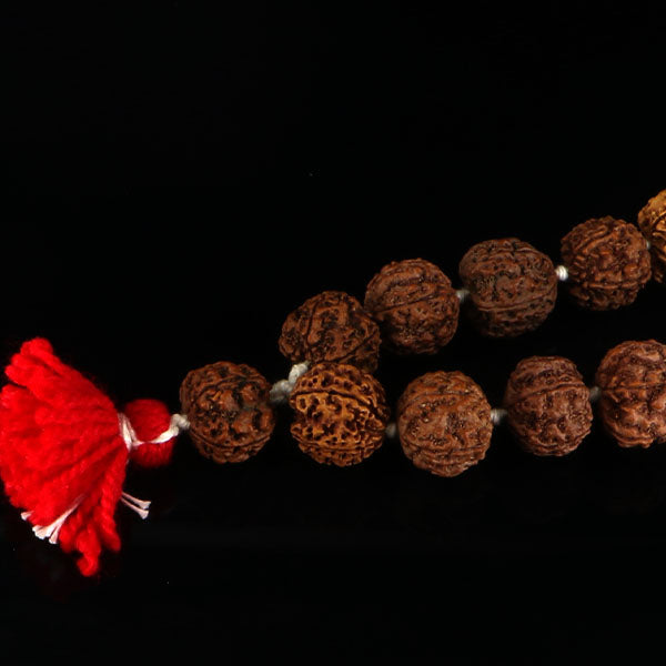 5 Mukhi Rudraksha Kantha-Nepali