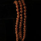 5 Mukhi Rudraksha Mala