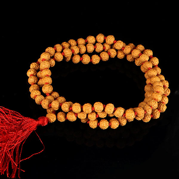 6 Mukhi Rudraksha Mala