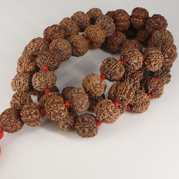 6 Mukhi Rudraksha Kantha-Nepali