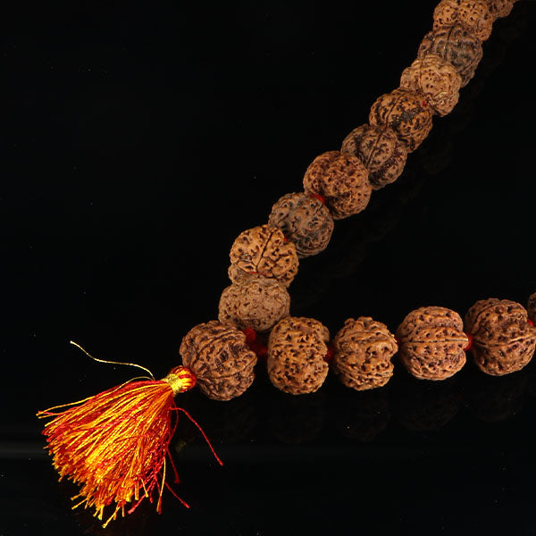 5 Mukhi Rudraksha Kantha-Nepali