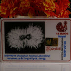 Gaurishankar Rudraksha-14 Mukhi